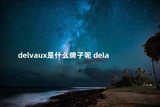 delvaux是什么牌子呢 delaval是什么牌子